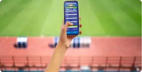 All Panel Exchange Sports, Casino and Card Games: What Players Search For